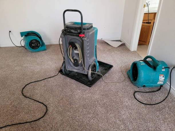 Best Commercial water damage restoration  in Oral City, FL