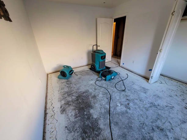 Best Sewage cleanup and water damage restoration  in Oral City, FL