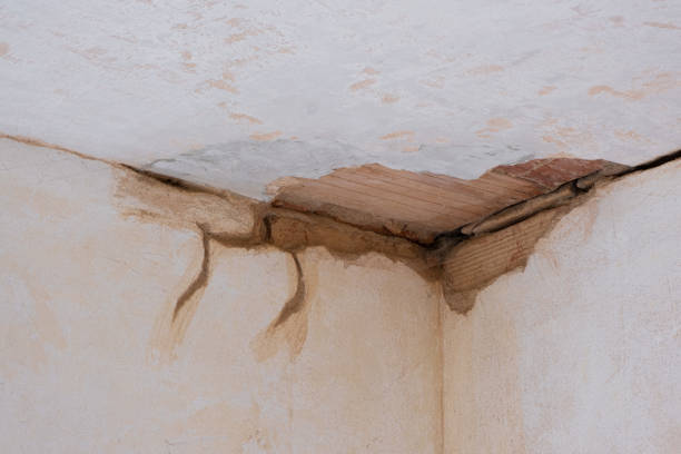 Best Flood damage cleanup  in Oral City, FL
