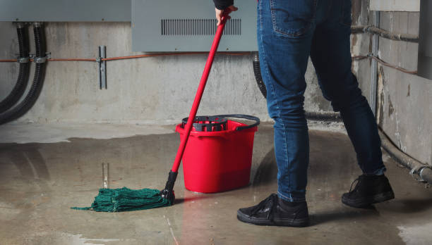 Best Carpet water damage restoration  in Oral City, FL