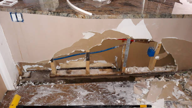 Best Ceiling water damage repair  in Oral City, FL