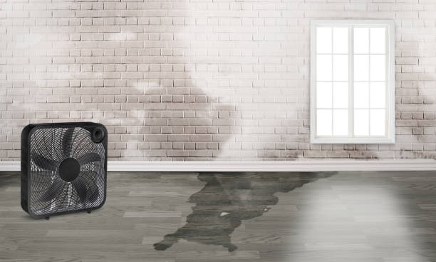 Best Commercial water damage restoration  in Oral City, FL
