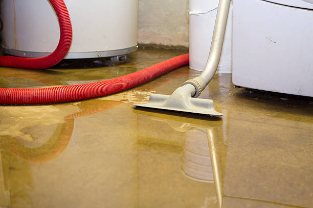 Best Emergency water damage restoration  in Oral City, FL