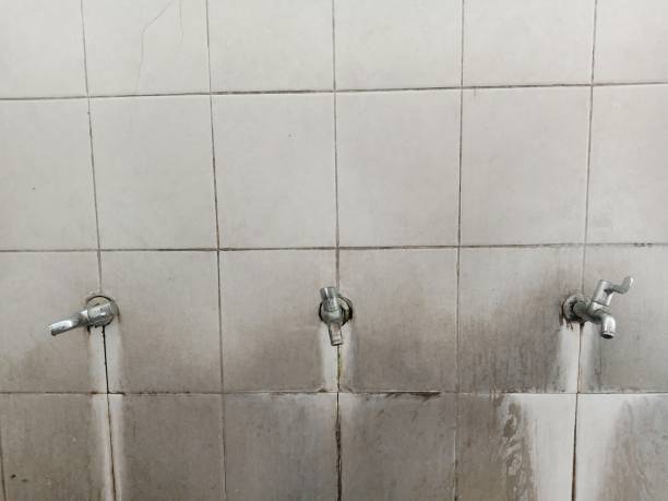  Oral City, FL Water damage restoration Pros
