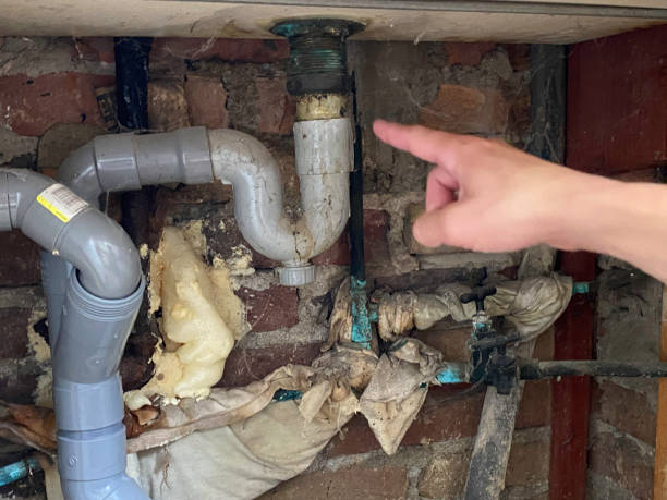  Oral City, FL Water damage restoration Pros