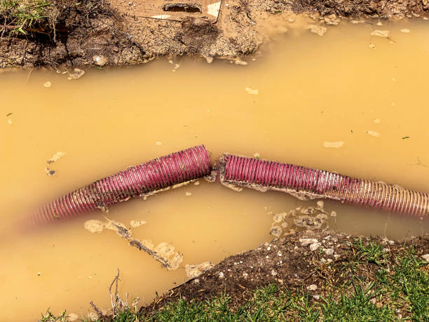 Best Sewage cleanup and water damage restoration  in Oral City, FL