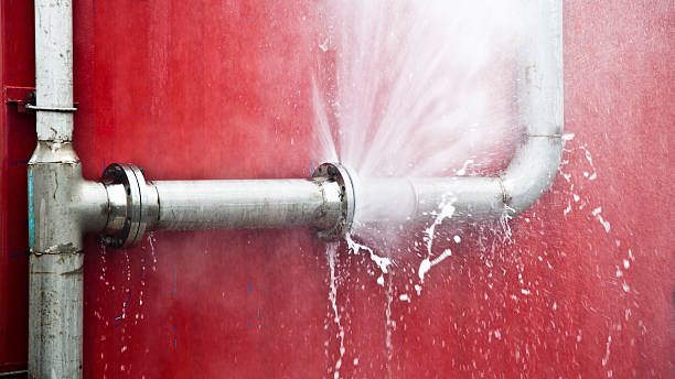 Best Water damage cleanup near me  in Oral City, FL