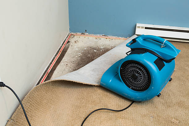 Best Fire Damage Restoration  in Oral City, FL